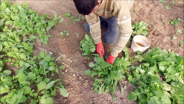 MAYISLAR KÖYÜ 2016 TANITIM VİDEOSU