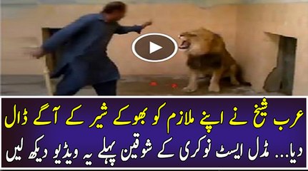 Crazy Arab Guy Brings Lion to their Home