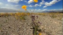 Secrets Of Death Valley Documentary 2016