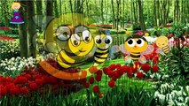 Finger Family Rhymes BEE Cartoons for Children | BEE Finger Family Nursery Rhymes for Children