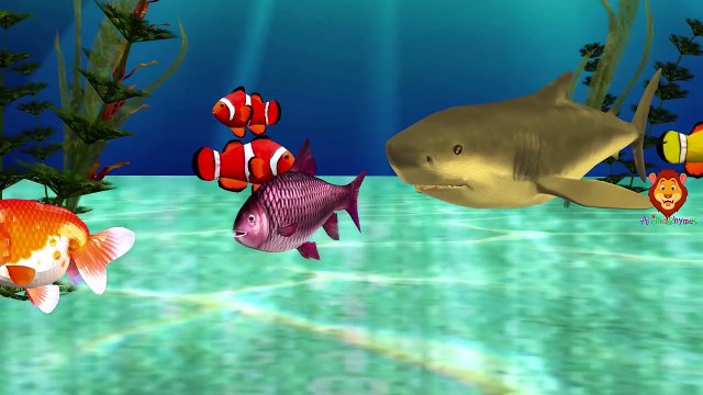 Piranha Finger Family | Shark Crocodile & More Sea Animals Finger Family Rhymes & Short Movies