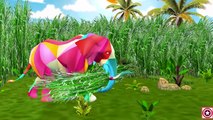 Colors Dinosaurs Finger Family | Dinosaur Cartoon Short Movie | Dinosaur Nursery Rhymes Collection