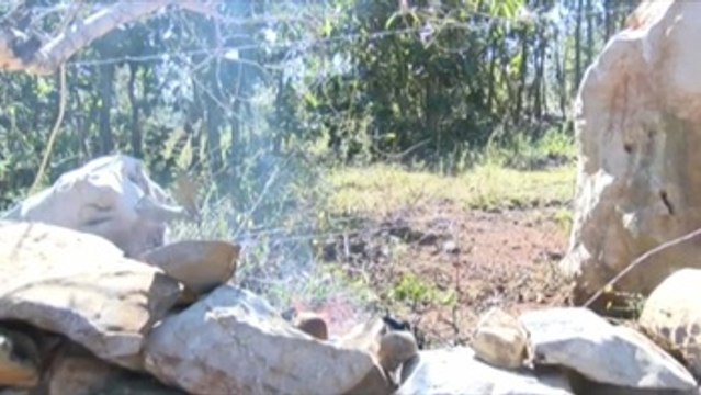 Exhuman 32 cadáveres y nueve cabezas de fosas clandestinas en sur de México