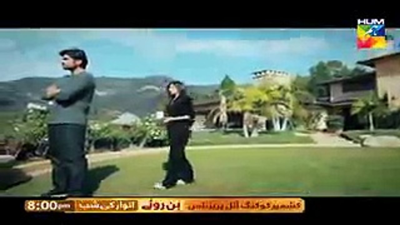 Bin Roye Title Song