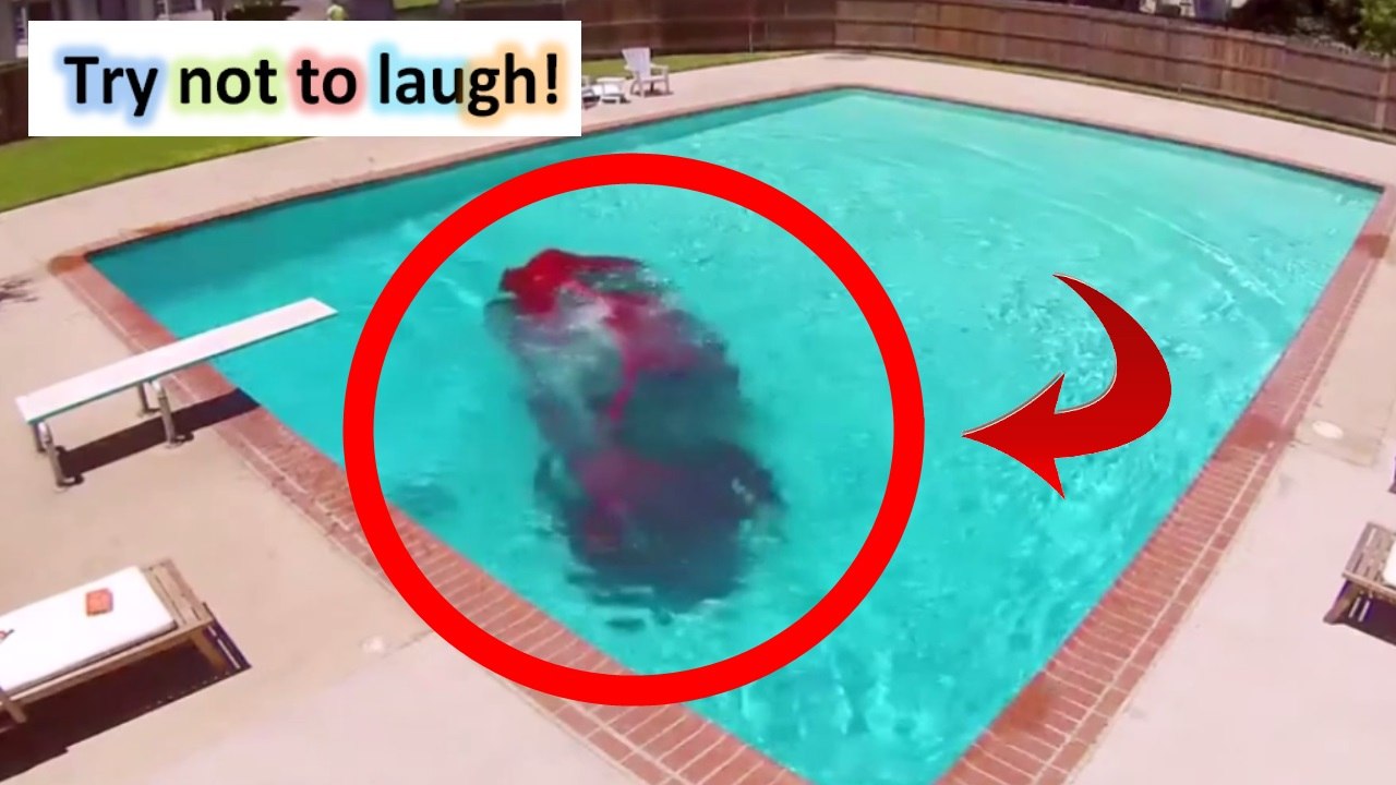 epic fail - car in the pool