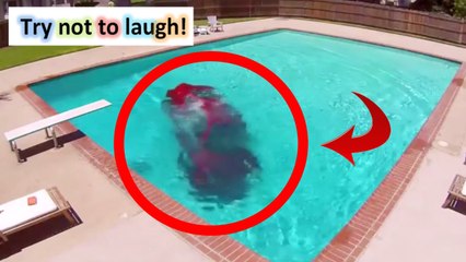 epic fail - car in the pool