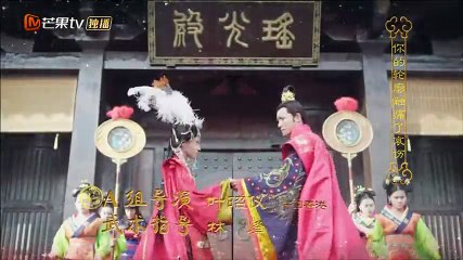 兰陵王妃 第35集 [720P未删减版]