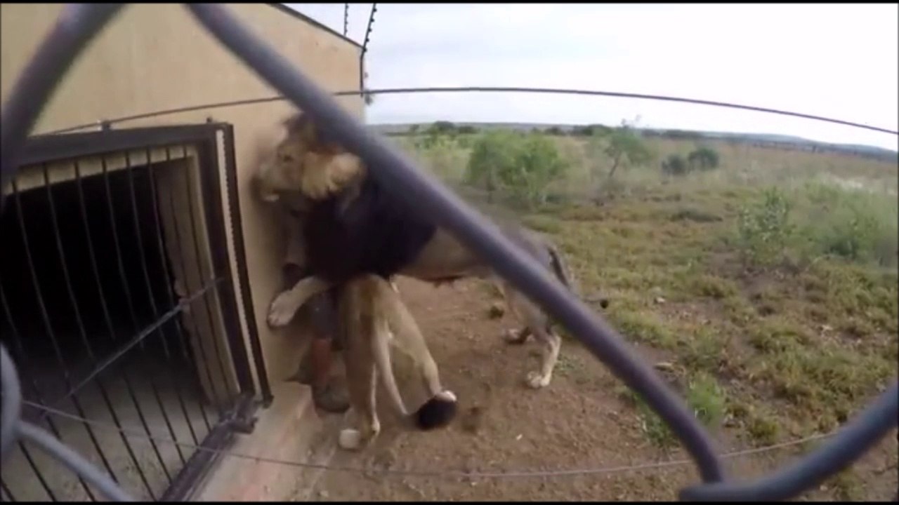 Coucou les lions, on se fait un gros calin!