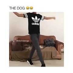 Funny Videos (@epicfunnypage) • Instagram photos and videos