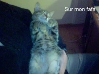 Les meilleures positions pour ...
