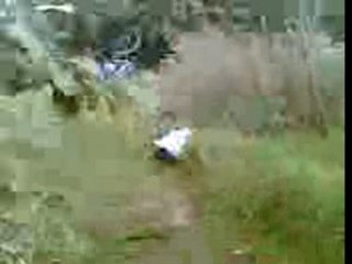 les niqués a l'yser