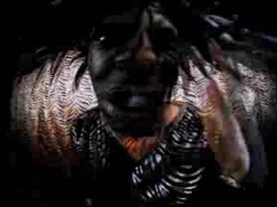 Busta Rymes-Put Your Hands Where My Eyes Could See