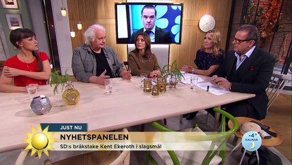 TV4 Nyhetspanelen den 25 november 2016