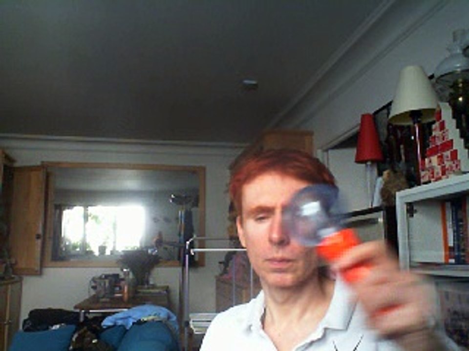 Wiwi égratigne "flowers" d'Emilie Simon