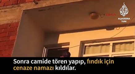 Descargar video: Giresun  -  Ordu  fındık fiyatındaki düşüşe Dikkat İçin Cenaze Namazı