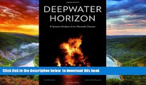 GET PDFbooks  Deepwater Horizon: A Systems Analysis of the Macondo Disaster READ ONLINE