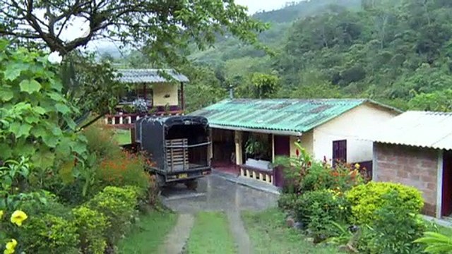 Mines cleared, Colombian city makes comeback | DW News