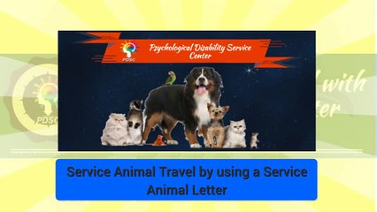 Service Animal Travel by using a Service Animal Letter