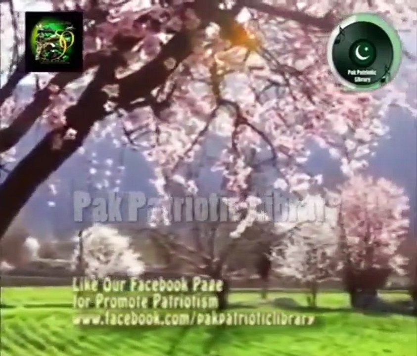 Aye Watan Mere Watan Pyare Watan by Saleem Raza ( Milli Naghma 1965 War )