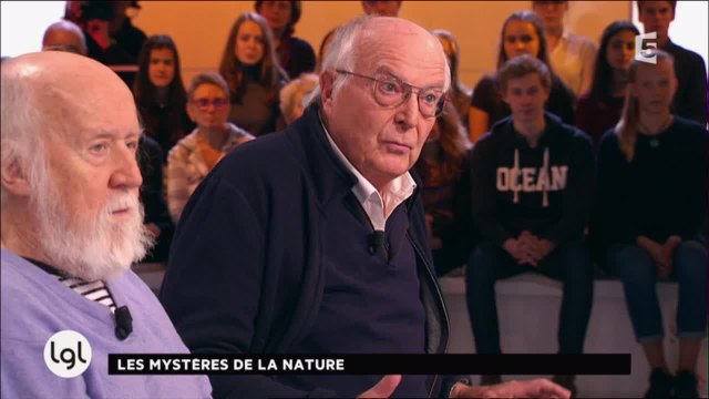 Suffit-il de regarder la nature pour la comprendre ? Les invités répondent