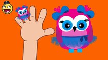 Childrens Songs | Owl Finger Family Song for Kids | Finger Family Rhymes Collection