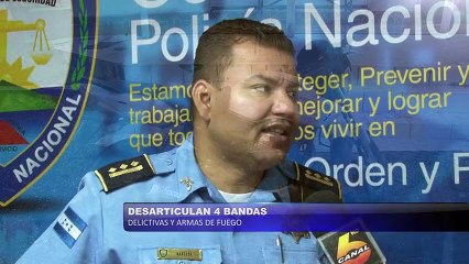 Desarticulan 4 bandas delictivas