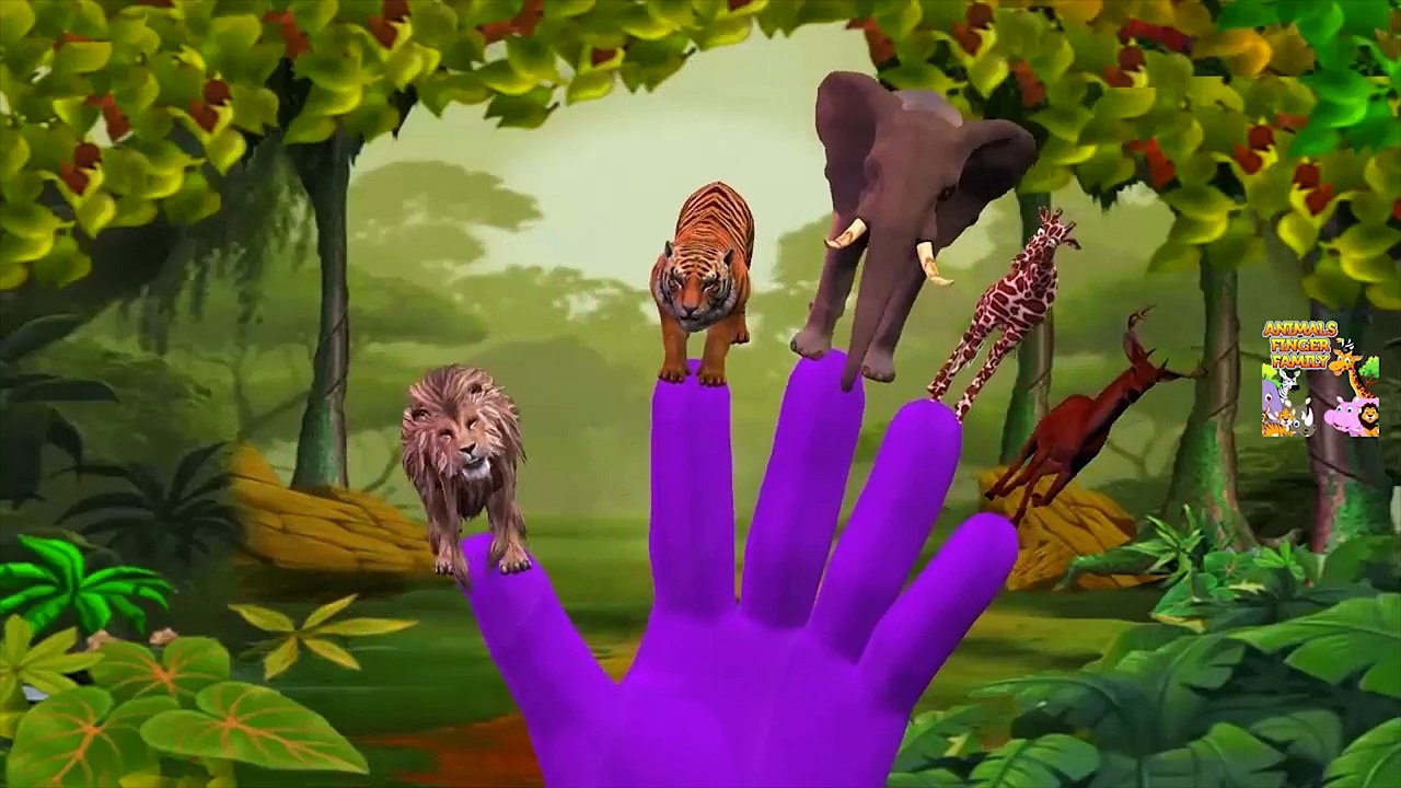 Animals Finger Family Rhymes | Finger Family Rhymes | Animals Finger ...