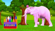 Duck Duck Tv Colors | Teach Colours | Crayola Elephant Cartoon Learning Colors for Babies