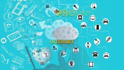 Seattle 79 Dollar Website Design Pros