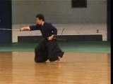 Koryu Bujutsu ( Shorinji Kempo Aikido Iaido Teppo jutsu )