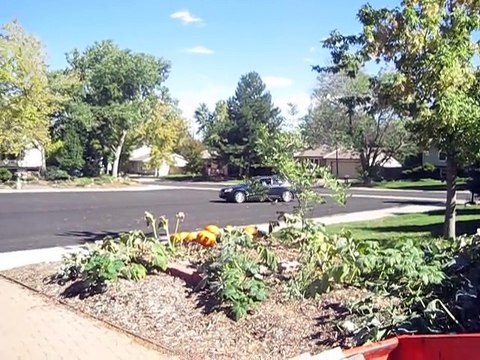 Get Fast Garage Door Repair 2016