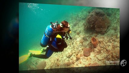 Different techniques to catch the lobster in sea
