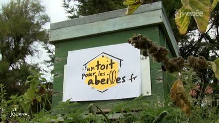 Initiative : Un toit pour les abeilles (Vendée)