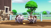 Paw Patrol : La Pat' Patrouille | Le cochons | NICKELODEON JUNIOR