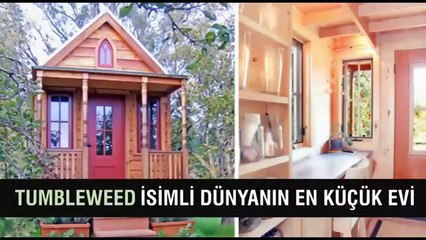 Dünyanın En Küçük Eşyaları