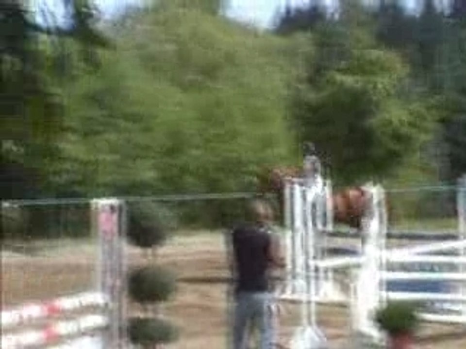 Roanne ambierle prep 105