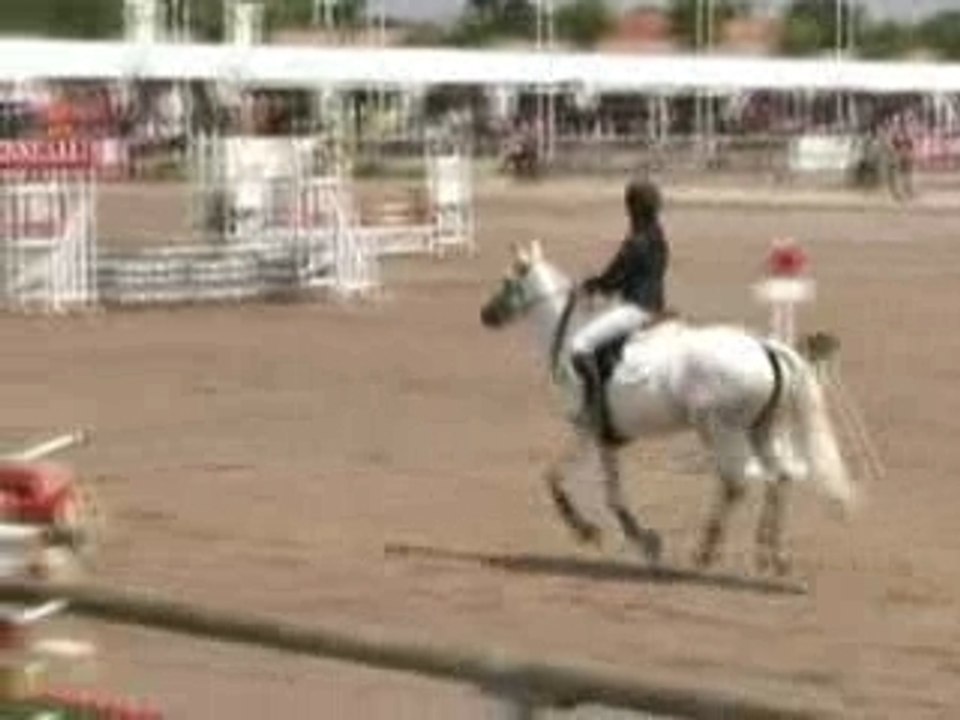Championnats 2006 partie 4