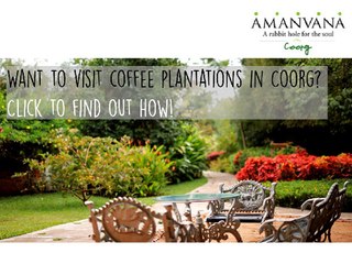 Visit and Walk around the Coffee Plantations in Coorg. Click to find out how!