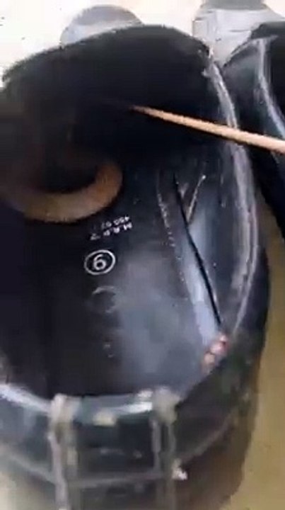 Please be Careful.....Must Watch