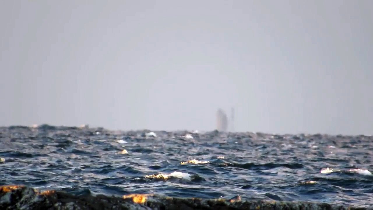 Aux Etats-Unis, un homme filme un bateau fantôme