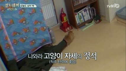 몽이의 나와라 고양이 펀치!!!