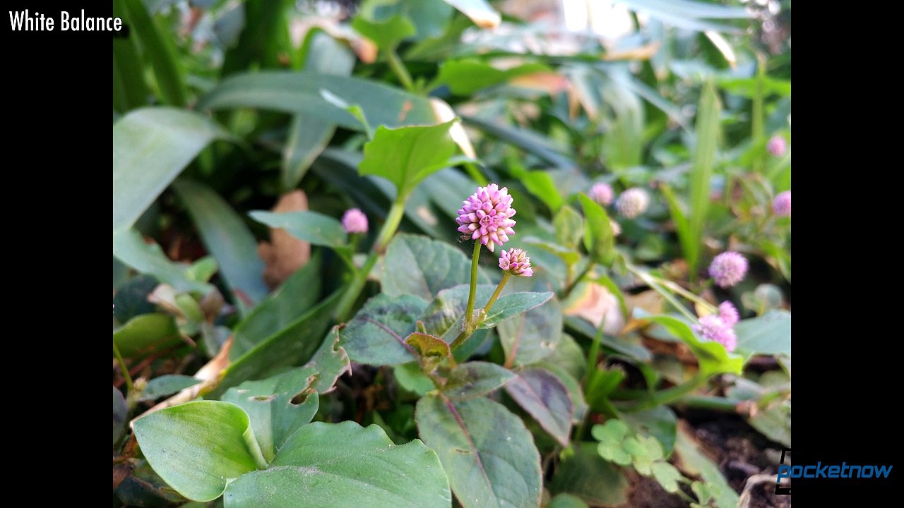 LG V20 Real Camera Review_ 2 sensors, 3 mics, and a ton of control