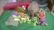 Thankful Capybara Enjoys Festive Feast