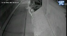 Cámara captó a sujeto escalando pared para robar en departamento