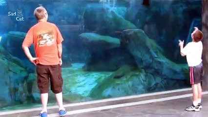 Kids At The Zoo Compilation NEW - YouTube