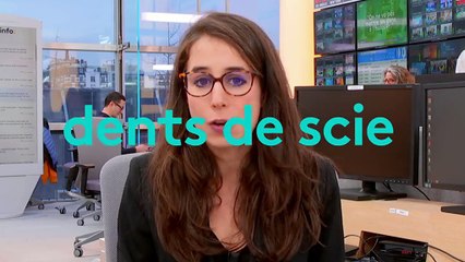 Comment expliquer les différences entre les chiffres de l'Insee et de Pôle Emploi ?