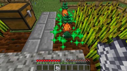 Minecraft: PPAP MOD (PEN PINEAPPLE APPLE PEN!) Mod Showcase