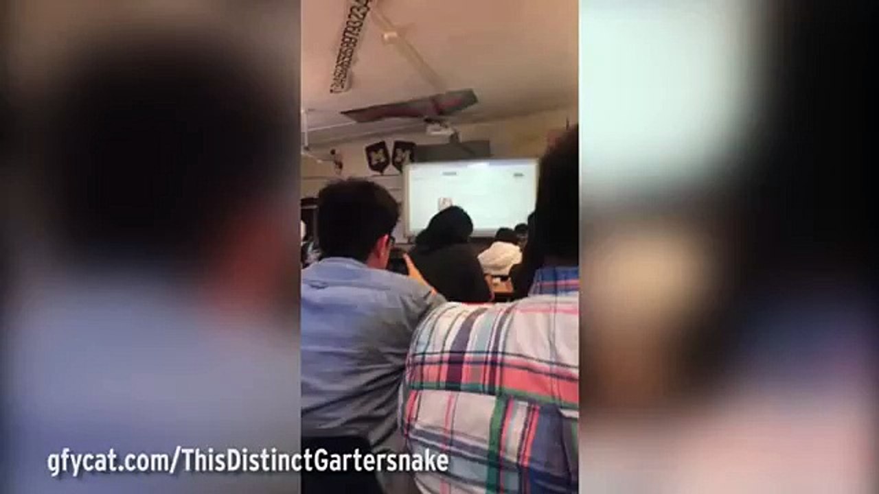 Momento EMBARAÇOSO – PROFESSOR esquece desligar projector enquanto vê LINGERIE!