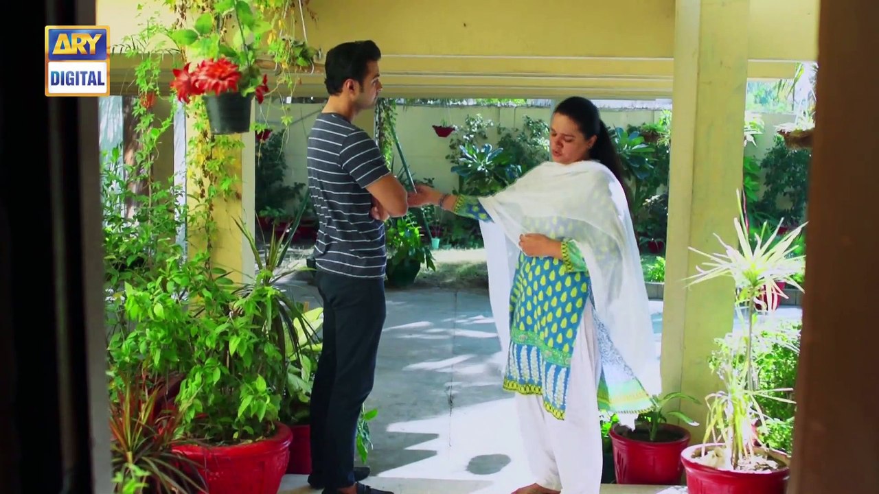 Watch Mein Mehru Hoon Episode 89 - on Ary Digital in High Quality 25th November 2016