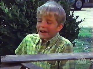 Mayberry RFD - S02E07 - The Farmer Exchange Project